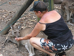 CairnsTC192 Cairns Tropical Zoo